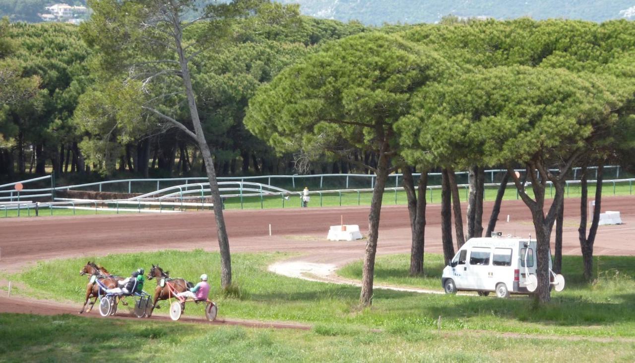 Studio Residence Bona, Vue Hippodrome Et Mer, Clim 耶尔 外观 照片