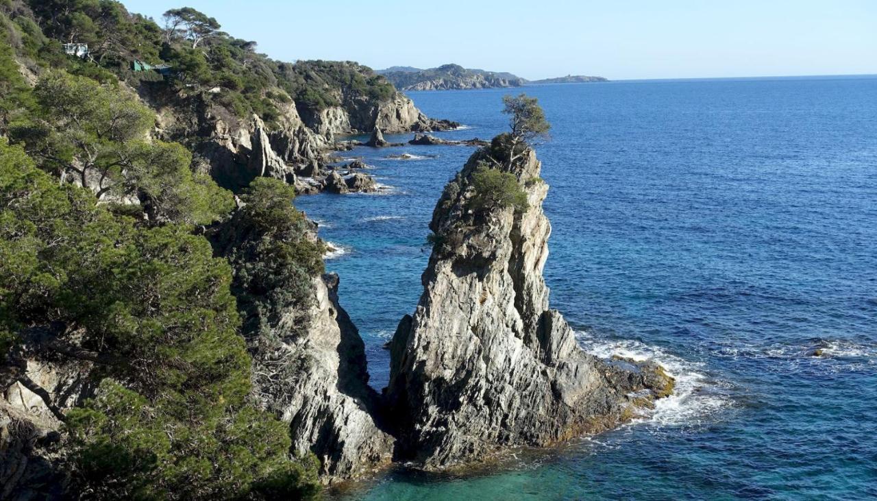 Studio Residence Bona, Vue Hippodrome Et Mer, Clim 耶尔 外观 照片