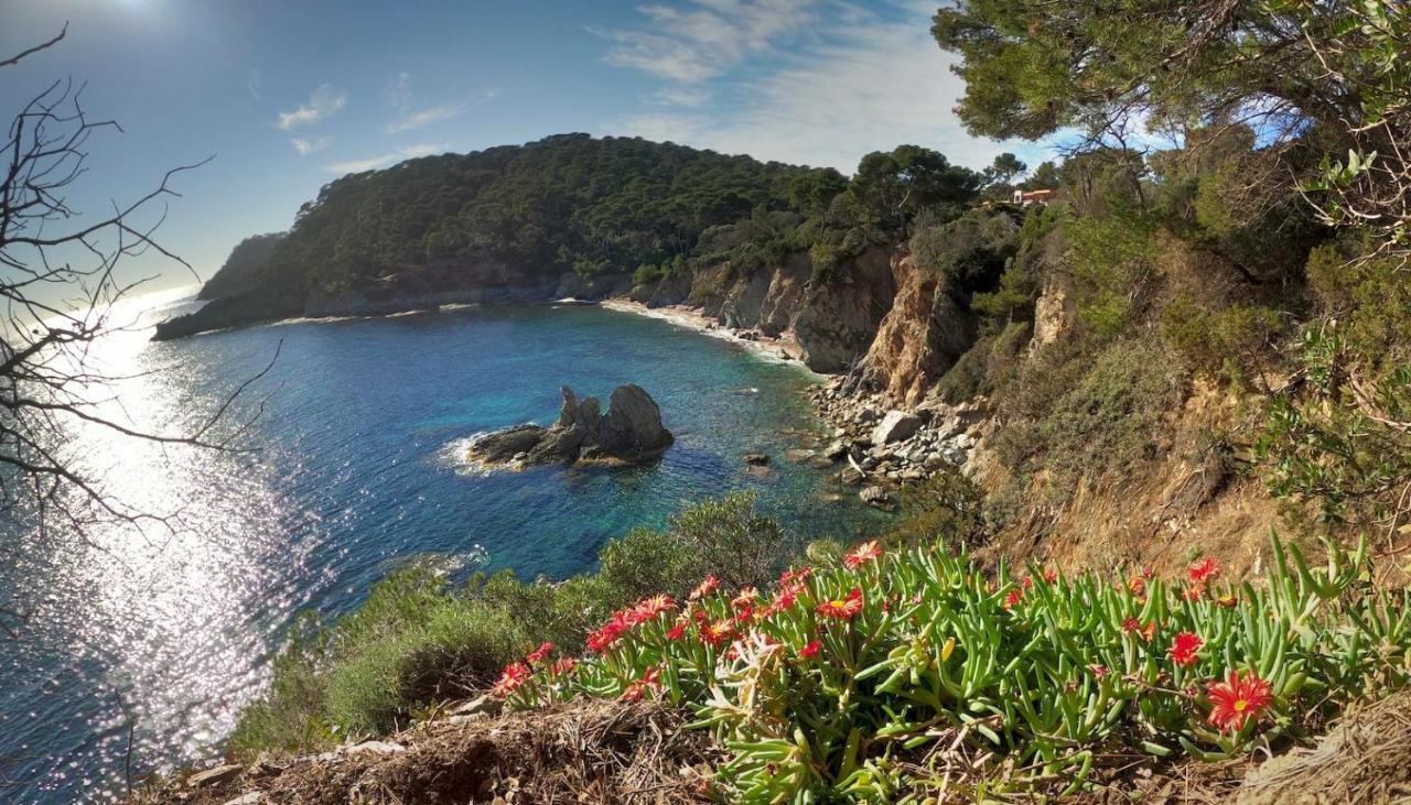 Studio Residence Bona, Vue Hippodrome Et Mer, Clim 耶尔 外观 照片